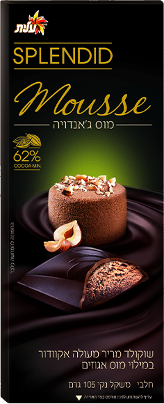Mousse Filled Dark Chocolate Splendid (Dairy)
