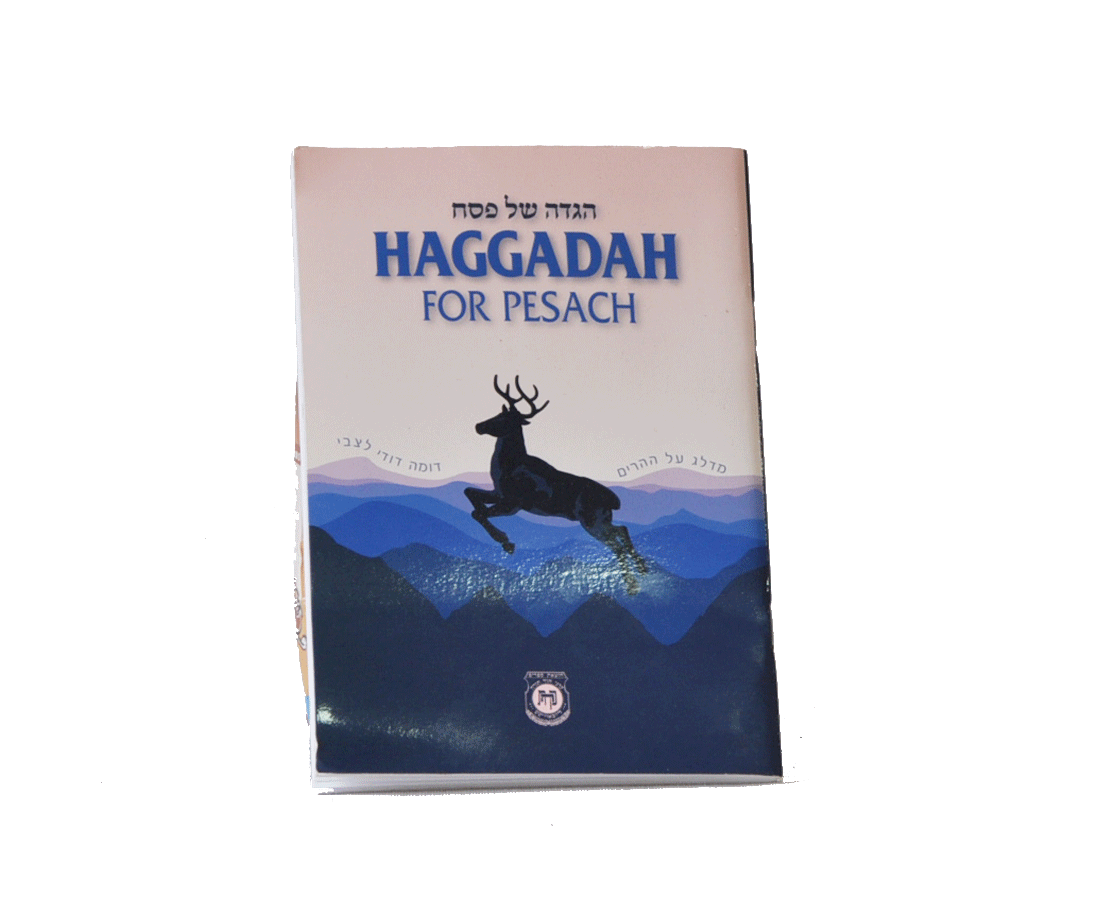Haggadah For Passover Hebrew & English