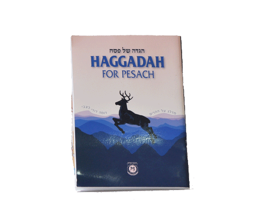 Haggadah For Passover Hebrew & English