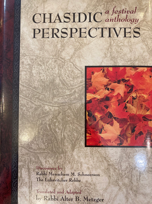 Chasidic Perspectives