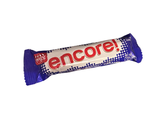 Mini Encore Milk Chocolate Bar
