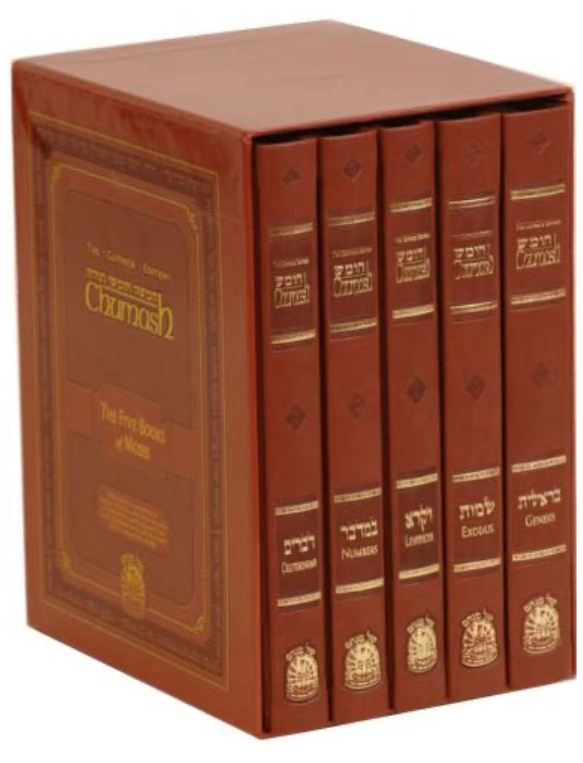 Chumash: Five Books of Moses